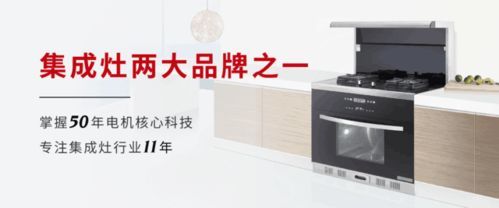 做厨房电器类的上市公司有哪些--请问中国厨卫十大品牌有哪些??